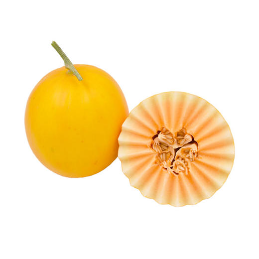 【沙漠黄金】甘肃民勤蜜瓜 2颗装 商品图4