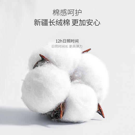 【新人首单专用】洁丽雅舒适高腰棉感亲肤4条装内裤女棉质收腹提臀透气女士内裤 商品图1