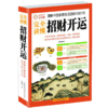 图解完全读懂招财开运 中国家居生活百科1001问 解读住宅文化 招财旺运习俗古代星象学 客厅阳台卧室布局风水大 传统文化正版 商品缩略图0
