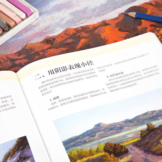 (仓发) 西方绘画技法经典教程:色粉画的光与影/上海书画出版社/[美]玛姬·普莱斯/9787547921371 商品图6