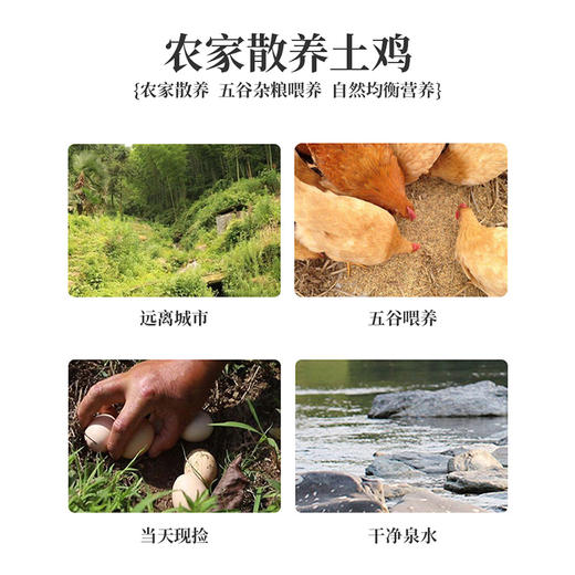 TY（分两个包裹发货）王明公  现捡土鸡蛋30枚/箱*1+十月稻田 东北大米5kg/袋*1【鲜享1.0】 商品图1