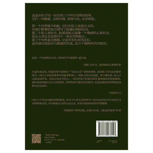 湛庐丨蚁丘 商品图5