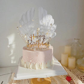 粉珍珠羽毛女神