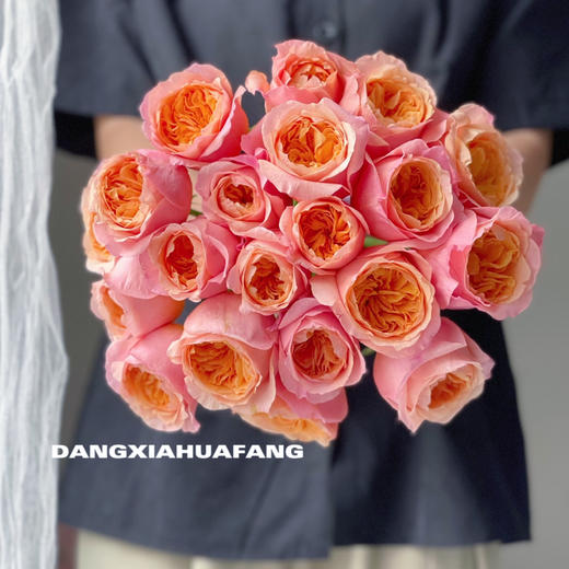 【AB级维多利亚的秘密玫瑰】10支/份 买2份减20元 长约60-65cm 商品图0