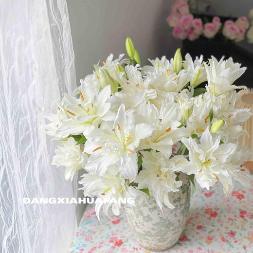 【AB级滑雪板重瓣百合】多头2支约7-9朵/份 商品图0