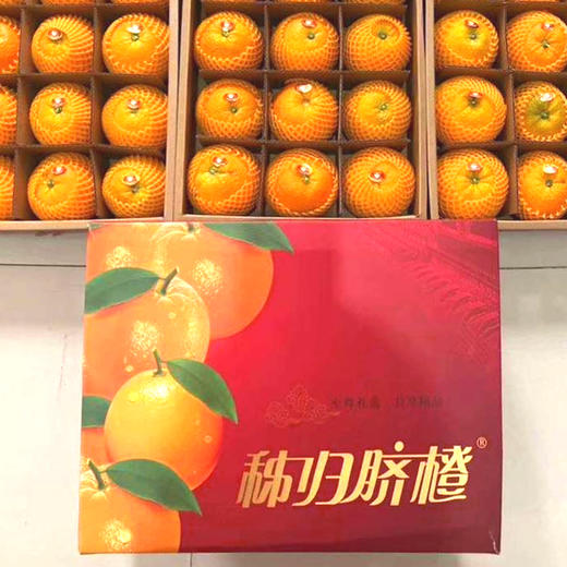 秭归高山甜橙（12#礼盒装) 3.5kg/箱【ZHWQH 0.86】 商品图1