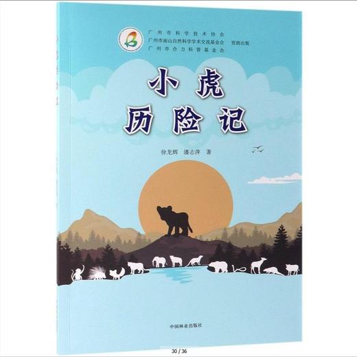 小虎历险记 商品图0