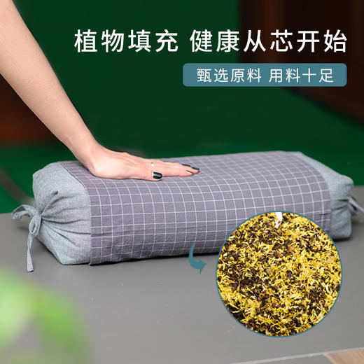 【店选】怀菊花荞麦枕头 商品图1