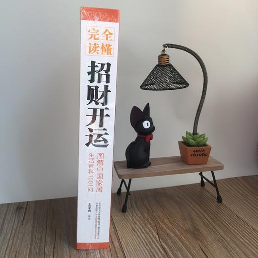 图解完全读懂招财开运 中国家居生活百科1001问 解读住宅文化 招财旺运习俗古代星象学 客厅阳台卧室布局风水大 传统文化正版 商品图1