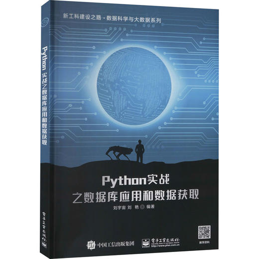 Python实战之数据库应用和数据获取 商品图0