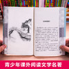 全8册初中生语文必读课外书名著读物七八年级老师推荐9-12-14-1618岁小学生图书课外阅读老舍茶馆散文集匆匆朱自清的书籍 商品缩略图3
