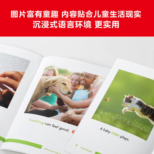 【3-10岁】Highlights科普英语分级阅读1-6（单本/礼盒装）中信童书Highlights项目组著 用英语探索身边的科学 中信出版 商品图8