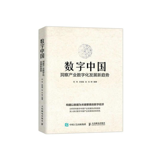 数字中国：洞察产业数字化发展新趋势 数字经济 信息化战略互联网智慧医疗信息消费 商品图0