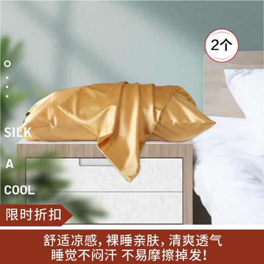 【限时折扣】仿真丝枕套51*76cm*2 商品图0