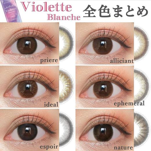 【6盒199】【转仓清仓随心配】Violette Blanche 1day 10枚 MYUMYU日本直送 商品图1