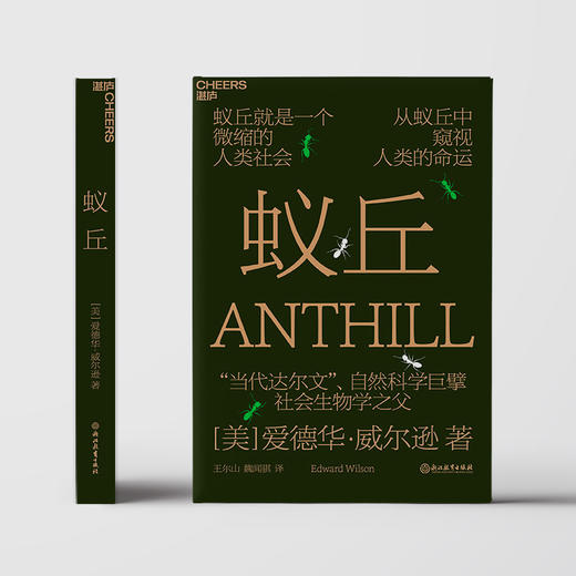 湛庐丨蚁丘 商品图4