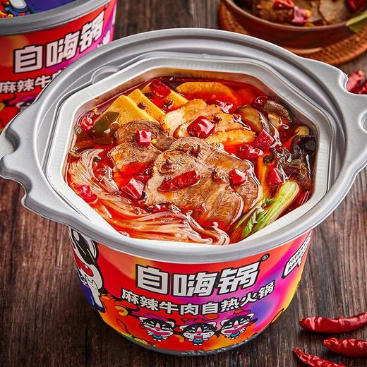 自嗨锅 麻辣牛肉自热火锅（微麻微辣） 194g 商品图2
