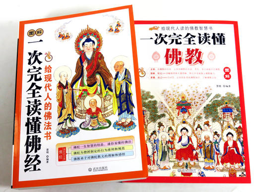 图解一次完全读懂佛经/佛教（全两册） 佛教基础知识 经典佛经讲解 金刚经禅宗药师经 楞严经无量寿经学图书籍 商品图2