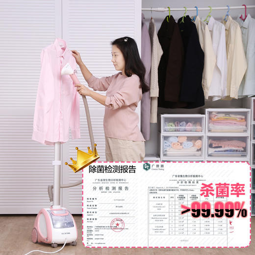 日本爱丽思迷你挂式电熨斗 3档调温 蒸汽立式挂烫机 手持熨烫衣服HSM-01C 商品图2