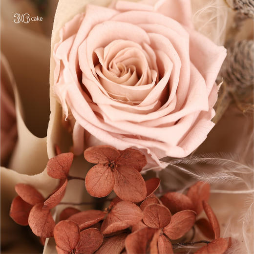 【花X蛋糕套餐】狮子座.奶油蛋糕+狮子座.·如愿~ 商品图8