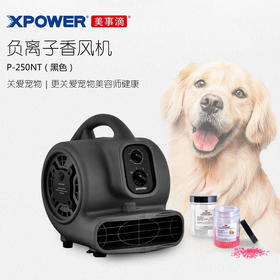 美事滴XPOWER香风机P-250NT负离子除异味净化空气流通烘干