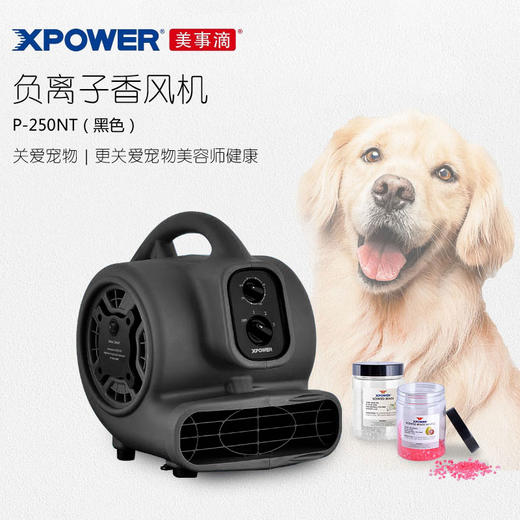 美事滴XPOWER香风机P-250NT负离子除异味净化空气流通烘干 商品图0