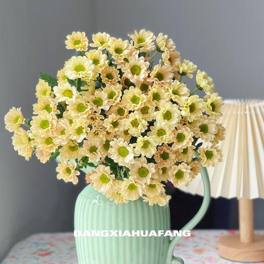 随机小菊（5支） 商品图2