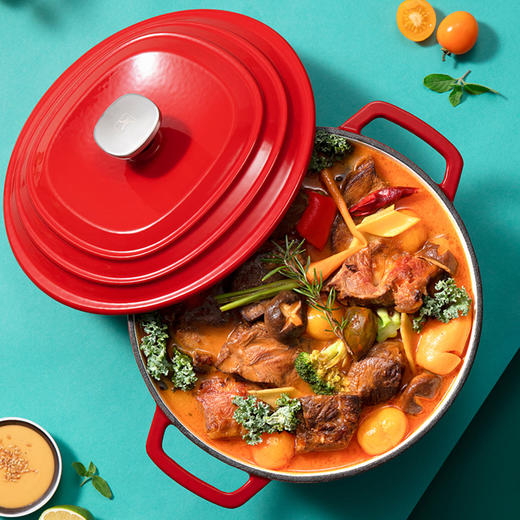 美珑美利 缤彩C+珐琅铸铁锅汤锅提香红26cm 商品图4