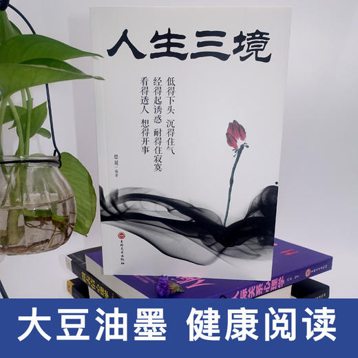 人生三境 低得下头沉得住气 经得住诱惑耐得住幽默 看得透人想得开事 人生成长修炼课 青春励志书做事人生成功哲学书籍 商品图2