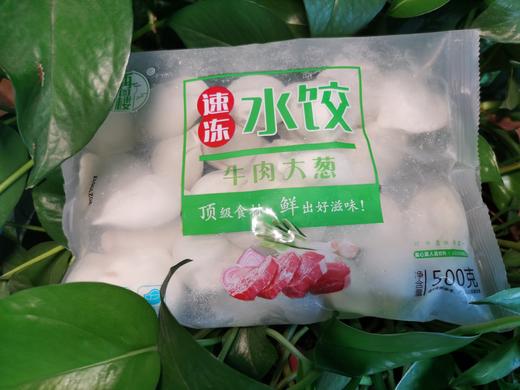 再回楼—牛肉大葱馅水饺 商品图0