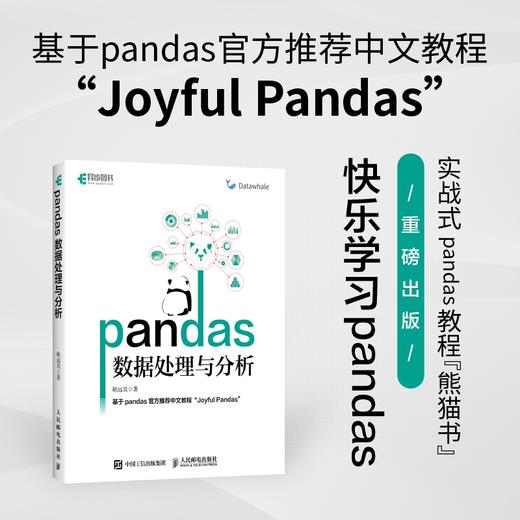 pandas数据处理与分析 Python Datawhale开源 数据源代码 数据处理分析工具集 编程代码教学 商品图2