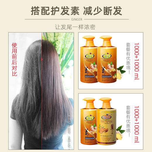 琴叶生姜洗发水护发 商品图1