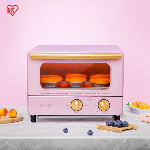 日本爱丽思电烤箱 IRIS迷你台式全自动 多功能 家用烘焙EOT-01C 商品图1