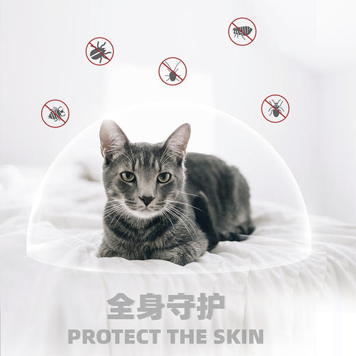 新宠之康非泼罗尼滴剂 犬猫体外驱虫 30天长效 温和安全 GMP认证 商品图10