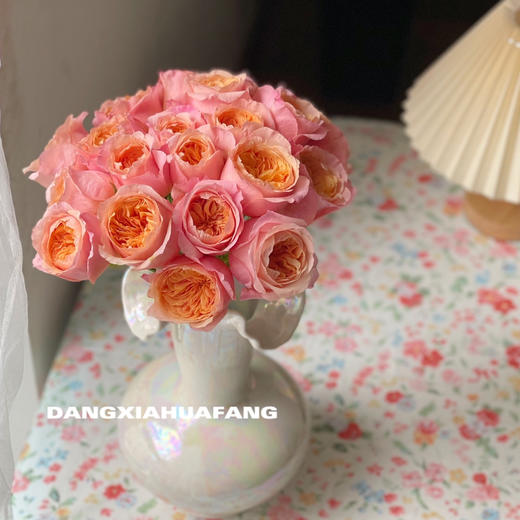 【AB级维多利亚的秘密玫瑰】10支/份 买2份减20元 长约60-65cm 商品图4