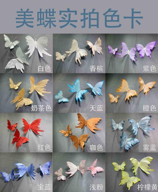 美蝶三件套（运费自理） 商品图1