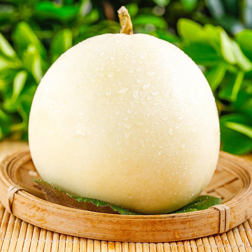 阎良小籽甜瓜九斤装(6枚或9枚) 4.5kg/箱【ZHWQH 0.86】 商品图2