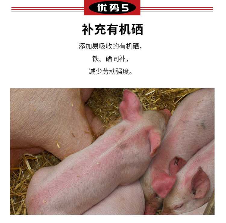 赛为仔猪兽用补铁针剂补血牲血素速血维素磷铁血龙右旋糖酐铁缺铁贫血