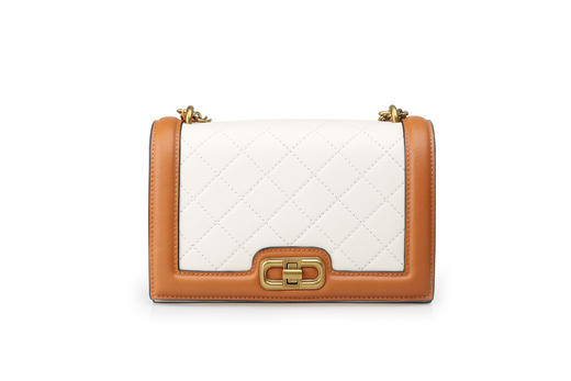 豪麟名鞋迪嘉女装牛皮革手袋WPB22SX004咖啡色 商品图0