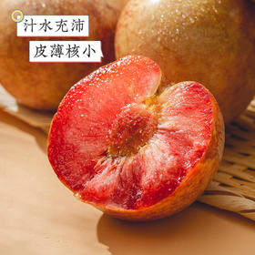 新疆恐龙蛋（杏李）