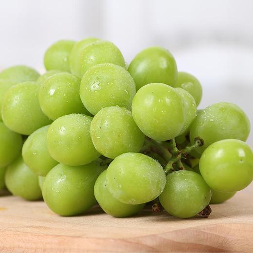 云南香印青提·阳光玫瑰葡萄 | 脆甜无籽，一口一个爽口得很，还能闻到花香【顺丰/京东空运/中通冷链】 商品图0
