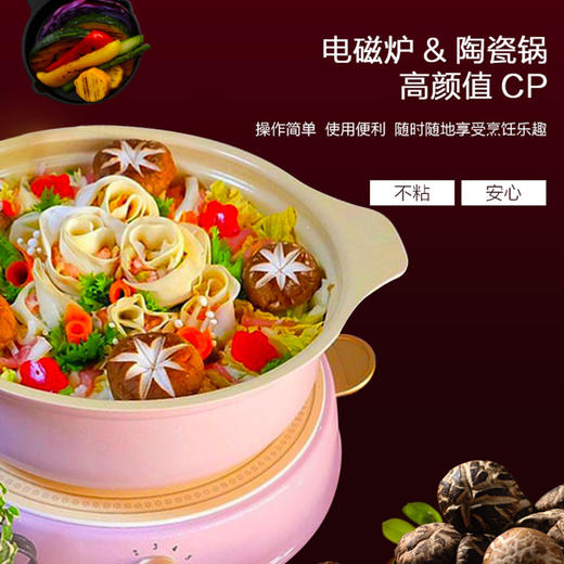 日本爱丽思 电磁炉火锅 家用陶瓷电热小火锅 电煮锅 不粘锅套装IHL-R14C 商品图2