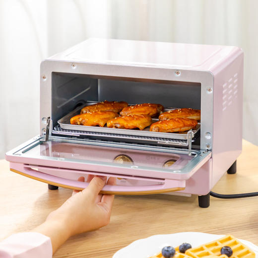 日本爱丽思电烤箱 IRIS迷你台式全自动 多功能 家用烘焙EOT-01C 商品图0