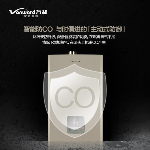 万和 11升 液化气 燃气热水器 智能氧护 无极变升 多重安全防护 JSQ22-11W6 (液化气) 商品图2