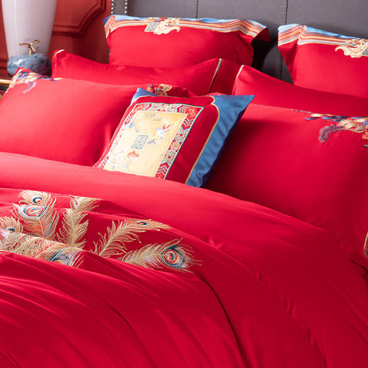 多喜爱 喜玫瑰婚庆新绒棉缎纹床上用品八件套 天地良缘 cs 商品图2