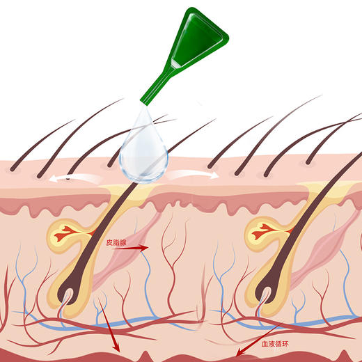新宠之康非泼罗尼滴剂 犬猫体外驱虫 30天长效 温和安全 GMP认证 商品图8