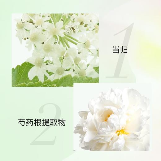 【百雀羚】面膜水光/紧致菁萃原液30ml补水 柔韧纤维贴片面膜 商品图5