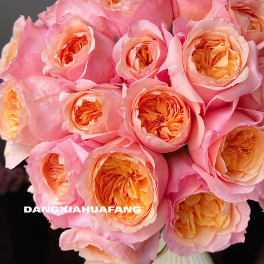 【AB级维多利亚的秘密玫瑰】10支/份 买2份减20元 长约60-65cm 商品图5