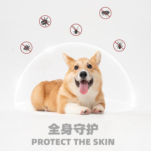 新宠之康非泼罗尼滴剂 犬猫体外驱虫 30天长效 温和安全 GMP认证 商品图9