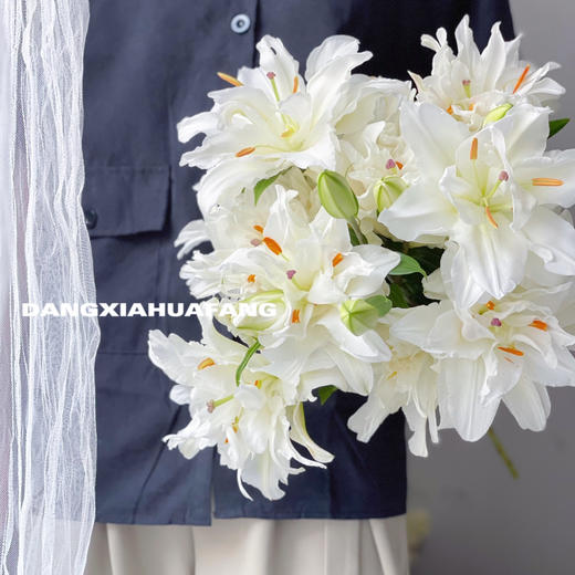 【AB级滑雪板重瓣百合】多头2支约7-9朵/份 商品图6